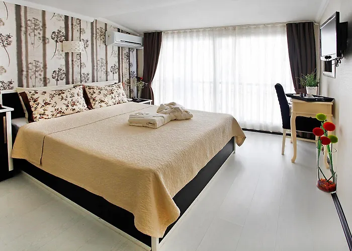 The House Next To Istanbul