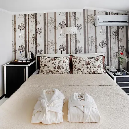 The House Next To Hotel Istambul