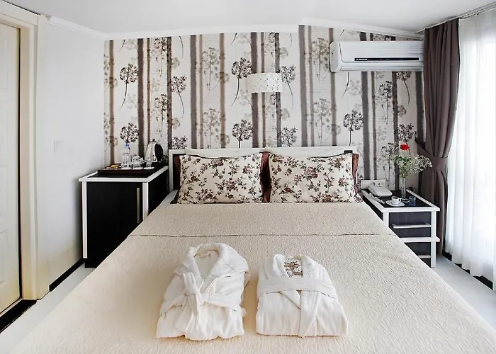 The House Next To Hotell Istanbul